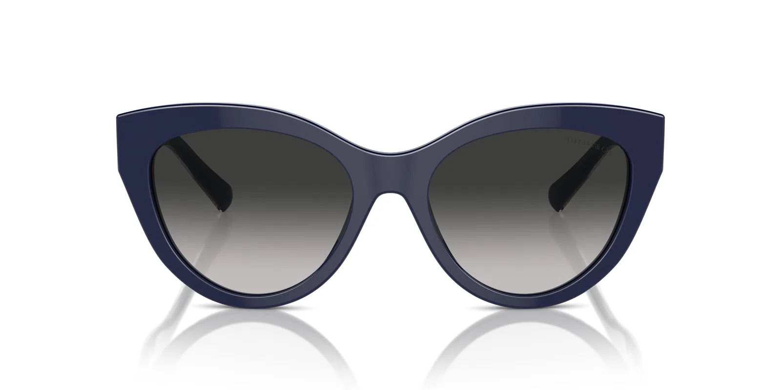 Tiffany 4220 Sunglasses - view 24